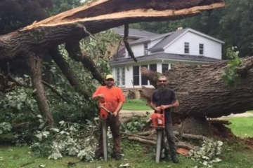 Tree Busters