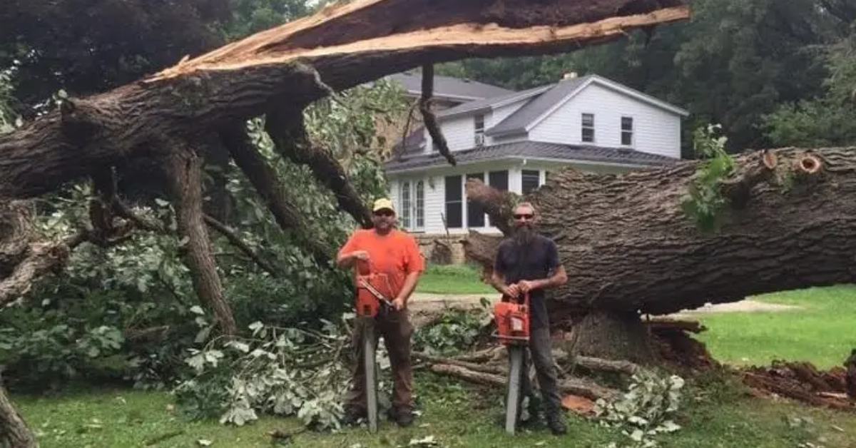 Tree Busters