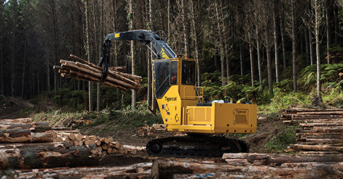 Future Trends and Innovations in Loggers Tools NYT