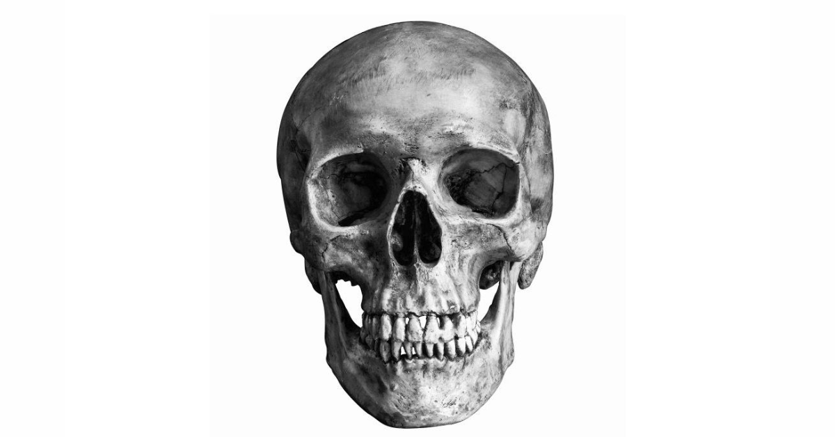 Historical and Cultural Significance of Skull Art