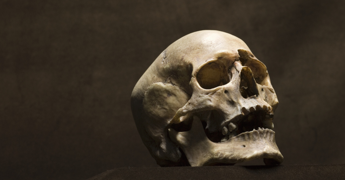 The Role of Skulls in Contemporary Art