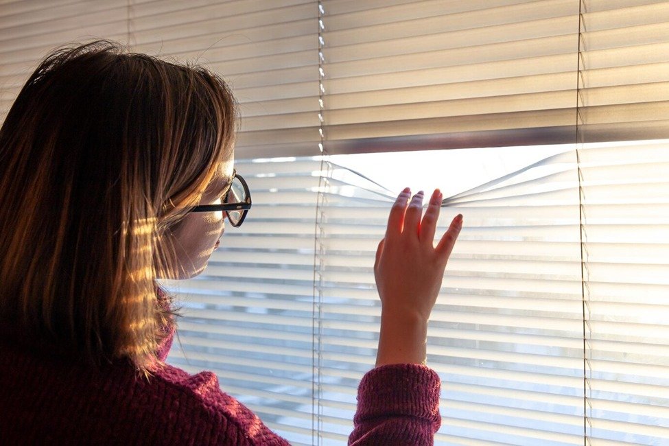 Auto Window Blinds