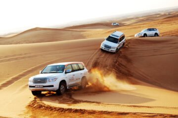 Dubai’s Best Desert Safaris