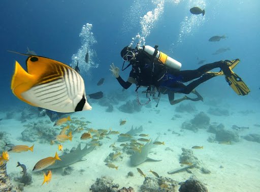 Liveaboard Diving in Maldives