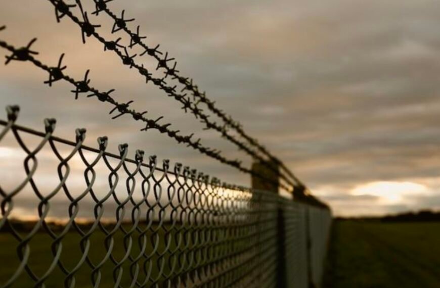 The Differences Between Razor Wire Fencing And Chicken Wire Fencing